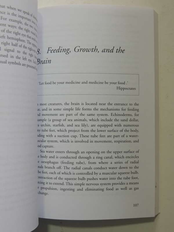 The Well Balanced Child: Movement And Early Learning - Sally Goddard Blythe
