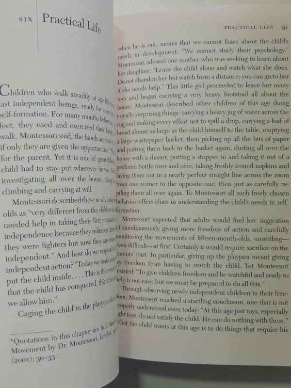 Montessori From The Start: The Child At Home, From Birth To Age 3 - Paula Polk Lillard,Lynn L Jessar