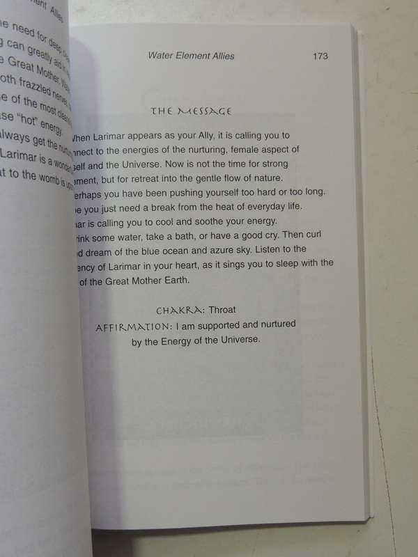 The Crystal Ally Cards: The Crystal Path To Self Knowledge - Naisha Ahsian  No Cards, only the book!