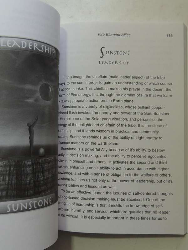 The Crystal Ally Cards: The Crystal Path To Self Knowledge - Naisha Ahsian  No Cards, only the book!