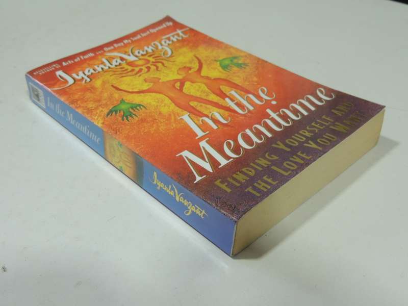In The Meantime - Finding Yourself And The Love You Want - Inyanla Vanzant