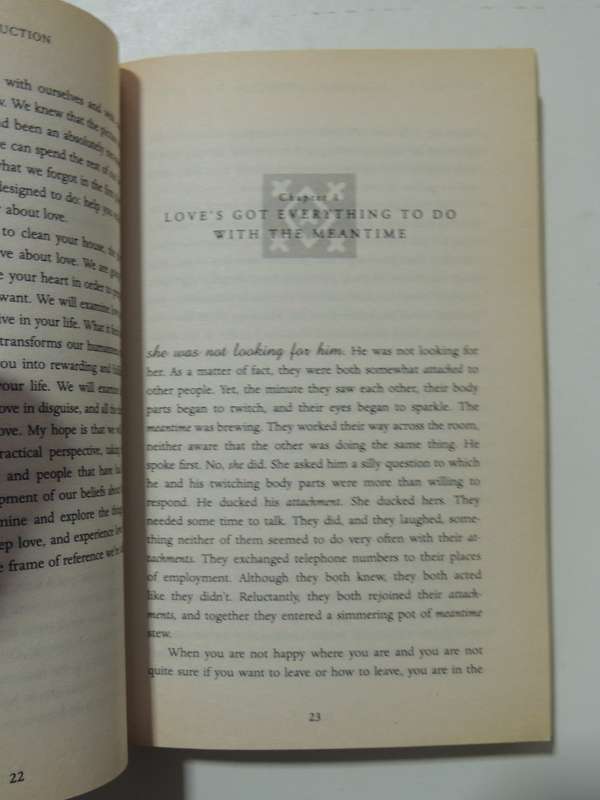 In The Meantime - Finding Yourself And The Love You Want - Inyanla Vanzant