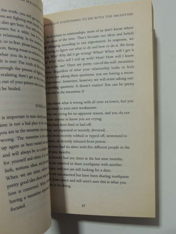 In The Meantime - Finding Yourself And The Love You Want - Inyanla Vanzant