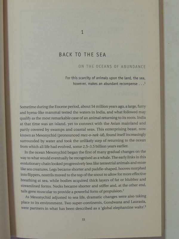 Hell-Hole Of The Pacific - Richard Wolfe