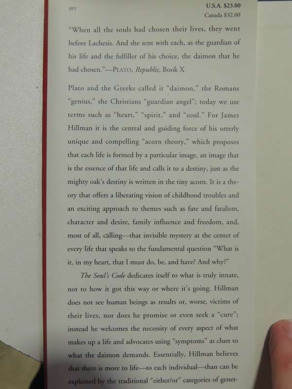The Soul's Code: In Search Of Character And Callin - James Hillman