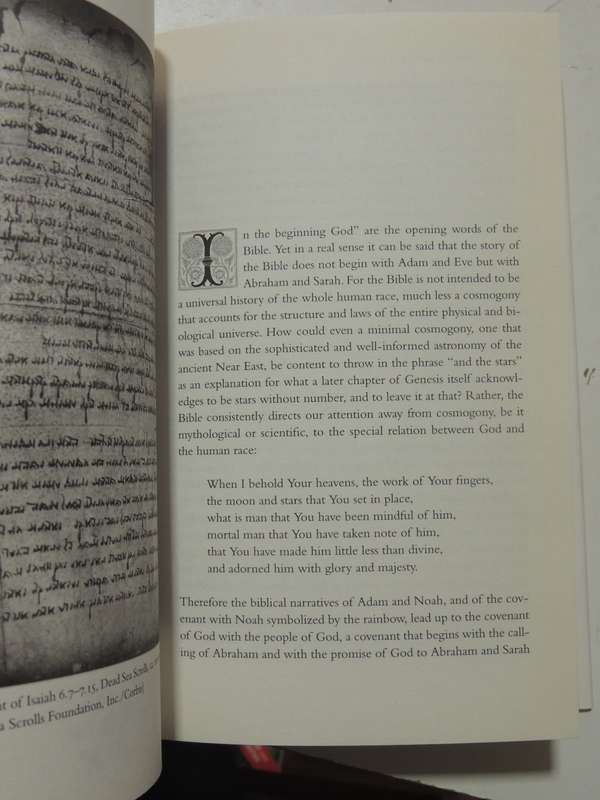 Whose Bible Is It?: A History Of The Scriptures Through The Ages - Jaroslav Pelikan