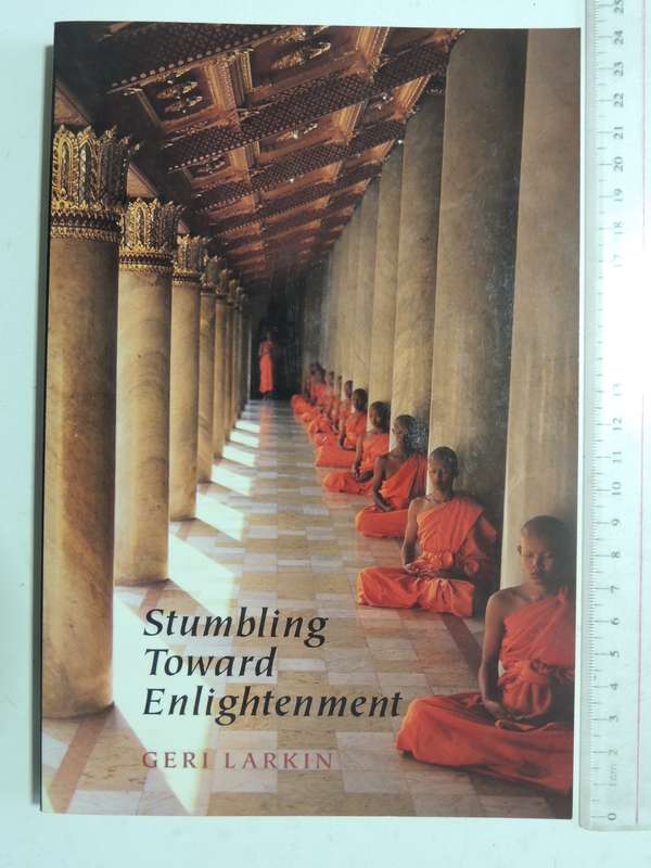 Stumbling Towards Enlightenment- Geri Larkin