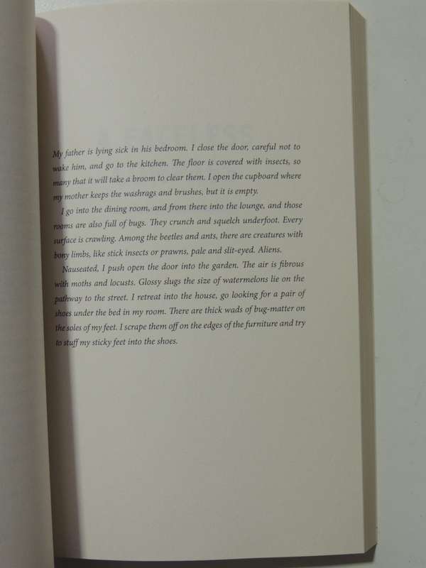 The Near North - Ivan Vladislavic    INSCRIBED