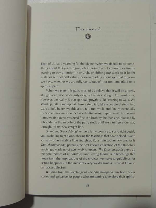 Stumbling Towards Enlightenment- Geri Larkin