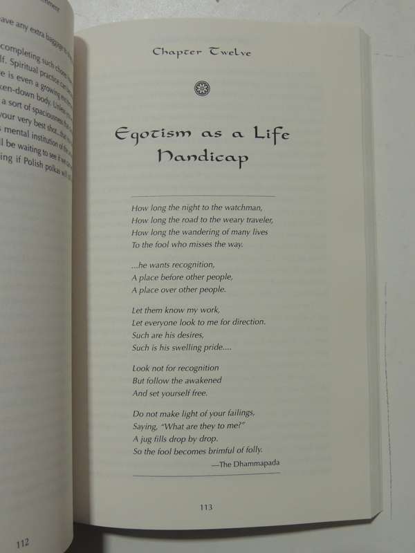 Stumbling Towards Enlightenment- Geri Larkin