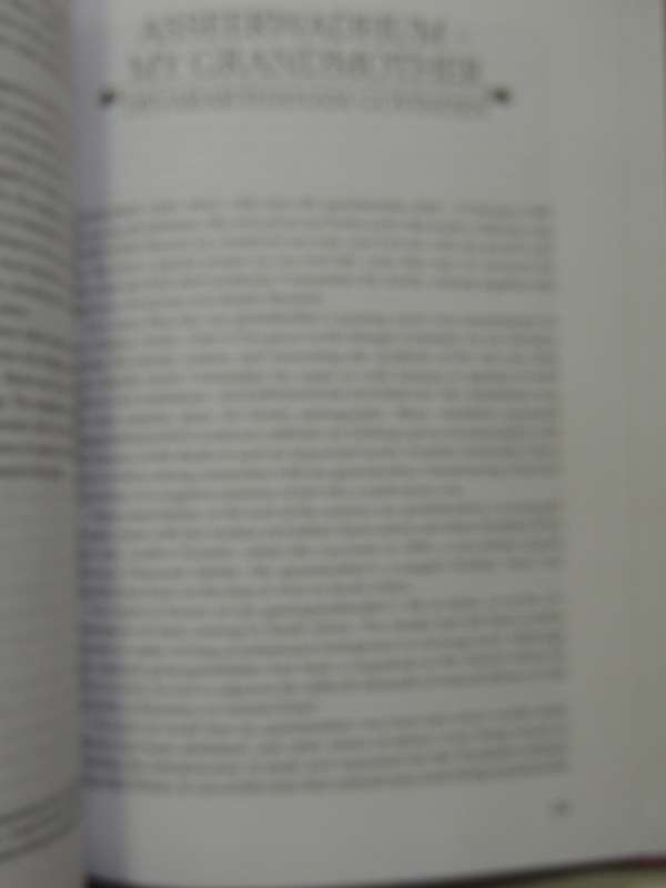 The Vintage Book of South African Indian Writing - Rajendra Chetty