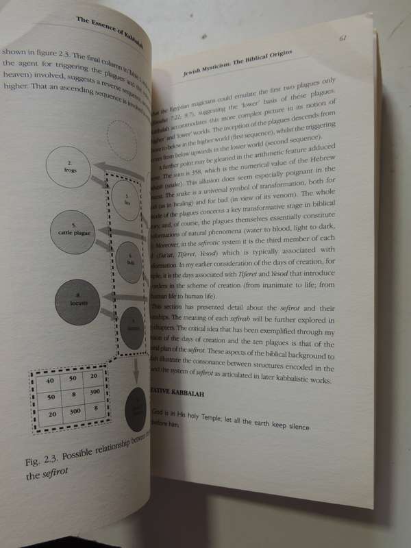 The Essence of Kabbalah - Brian L Lancaster