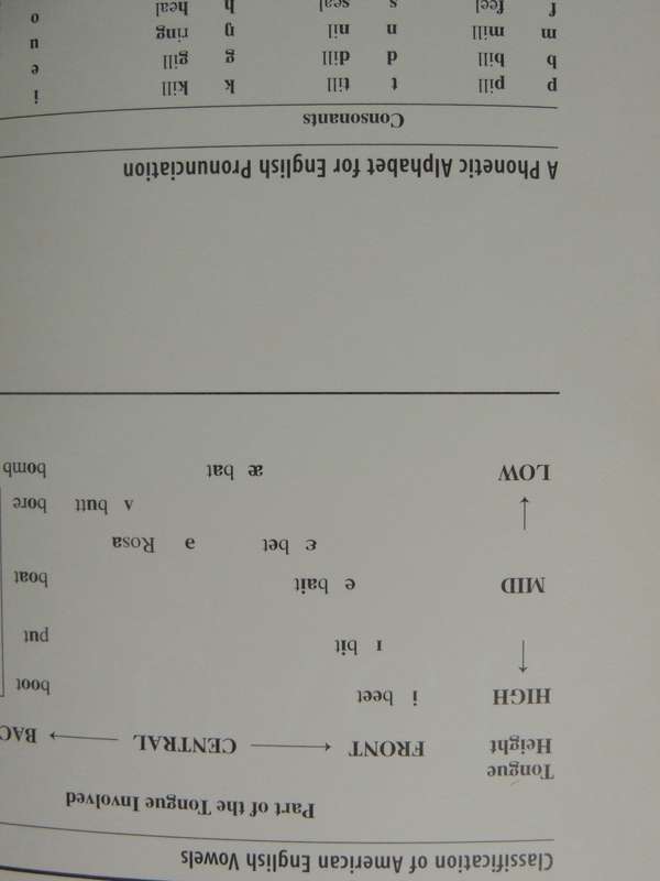 An Introduction to Language - Victoria Fromkin, Robert Rodman, N Hyams  7th ed