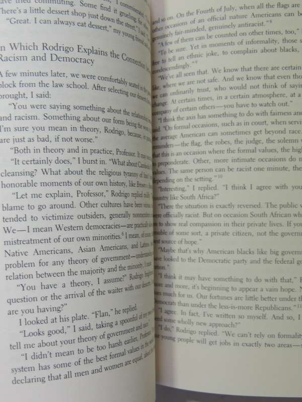 The Rodrigo Chronicles: Conversations About America And Race - Richard Delgado