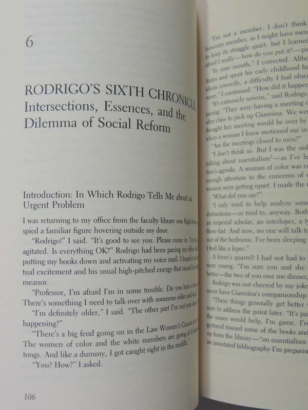 The Rodrigo Chronicles: Conversations About America And Race - Richard Delgado