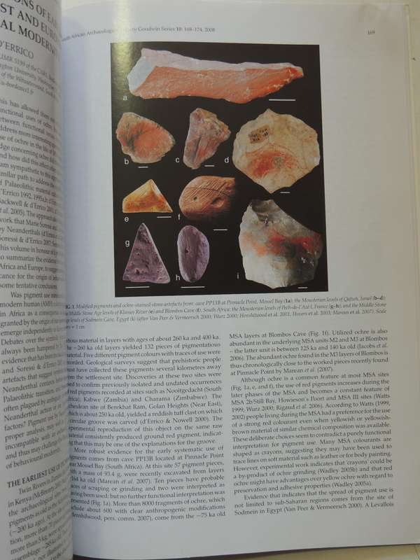 South African Archaeological Society Goodwin Series Volume 10 December 2008: Current Themes In Middl
