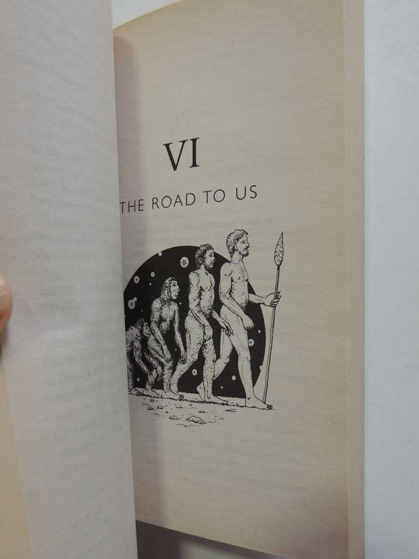 A Short History Of Nearly Everything - Bill Bryson