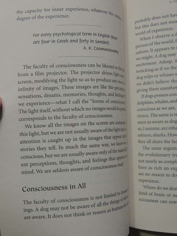 From Science To God: A Physicist's Journey Into The Mystery Of Consciousness - Peter Russell