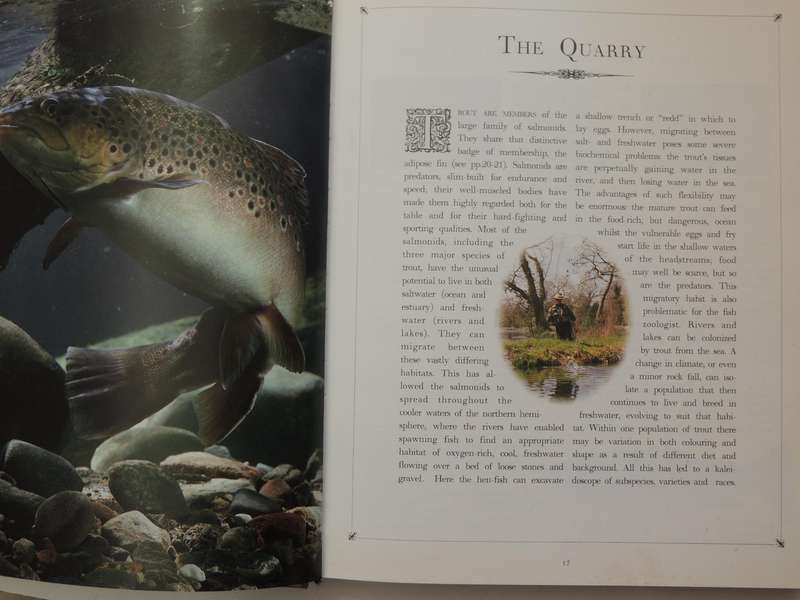 The Sotheby's Guide To Fly-Fishing For Trout - Charles Jardine