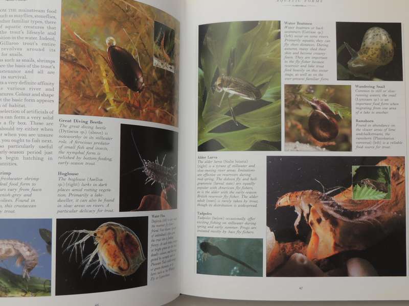 The Sotheby's Guide To Fly-Fishing For Trout - Charles Jardine