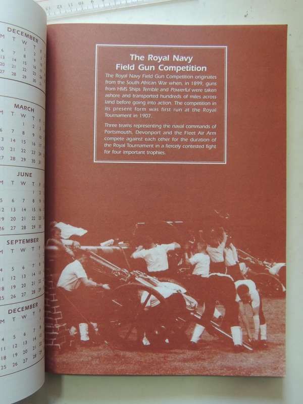 Into The Millennium: Anglo-Boer War Centenary Diary Today And 100 Years Ago compiled Maureen Richard