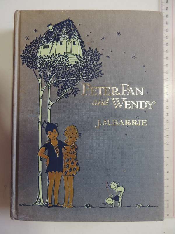 Peter Pan and Wendy- JM Barrie