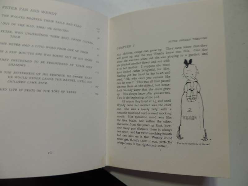 Peter Pan and Wendy- JM Barrie