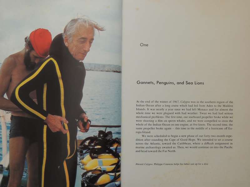 Sea Lion, Elephant Seal, Walrus - Jacques-Yves Cousteau & Philippe Diole