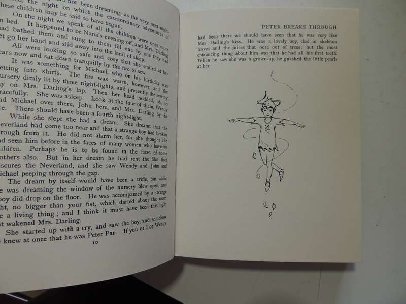 Peter Pan and Wendy- JM Barrie