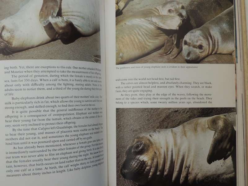 Sea Lion, Elephant Seal, Walrus - Jacques-Yves Cousteau & Philippe Diole