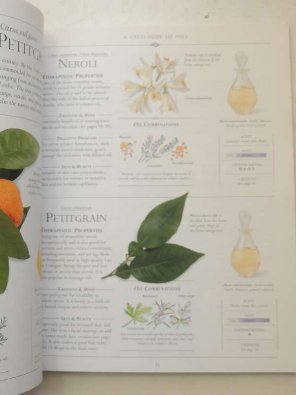 Aromatherapy Massage Book: A Practical Illustrated Guide To Massage With Essential Oils Clare Maxwel