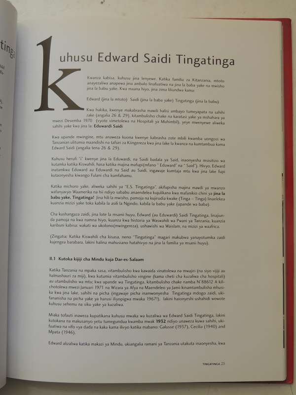 Tingatinga: The Popular Paintings From Tanzania - Yves Goscinny
