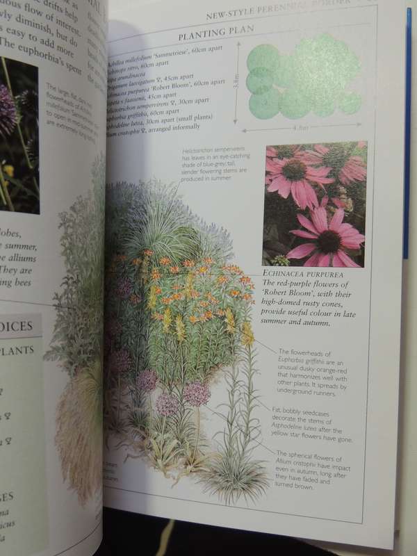 Drought Resistant Gardening - RHS Practical Guides - Peter Robinson