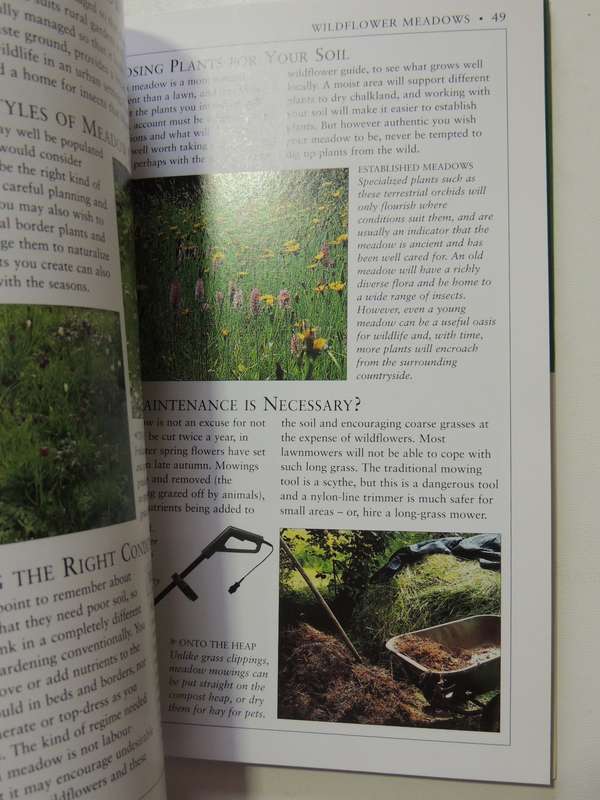 Lawns & Ground Cover - RHS Practical Guides - Geoff Stebbings