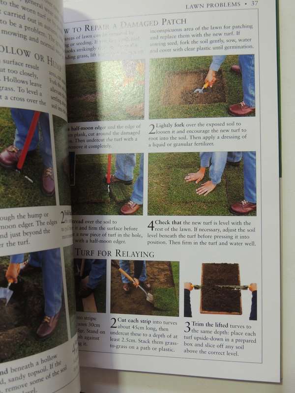 Lawns & Ground Cover - RHS Practical Guides - Geoff Stebbings