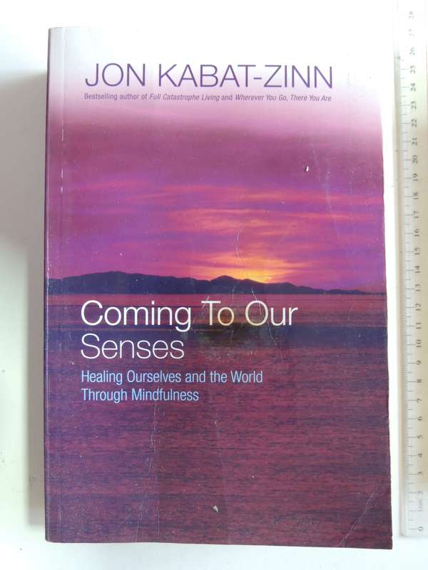 Coming to our Senses, Healing Ourselves and the World Through Mindfulness - Jon Kabat-Zinn
