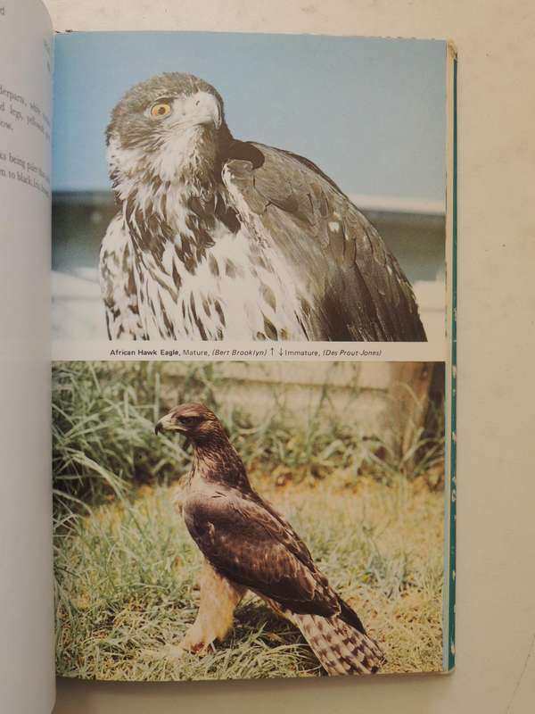 An Introduction To The Birds Of Prey Of South Africa  - D.V. Prout-Jones   (signed)