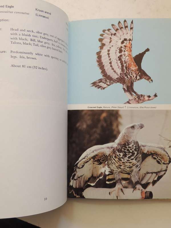 An Introduction To The Birds Of Prey Of South Africa  - D.V. Prout-Jones   (signed)