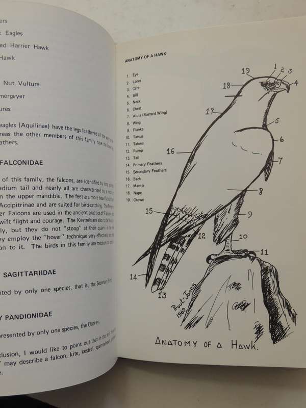 An Introduction To The Birds Of Prey Of South Africa  - D.V. Prout-Jones   (signed)