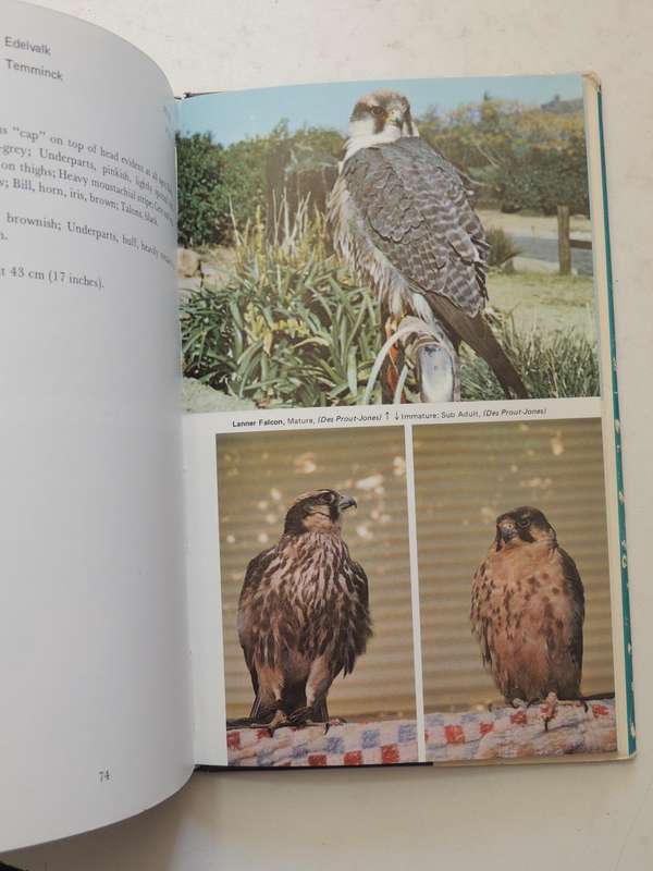 An Introduction To The Birds Of Prey Of South Africa  - D.V. Prout-Jones   (signed)