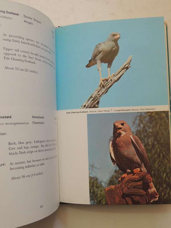 An Introduction To The Birds Of Prey Of South Africa  - D.V. Prout-Jones   (signed)