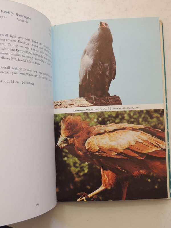 An Introduction To The Birds Of Prey Of South Africa  - D.V. Prout-Jones   (signed)
