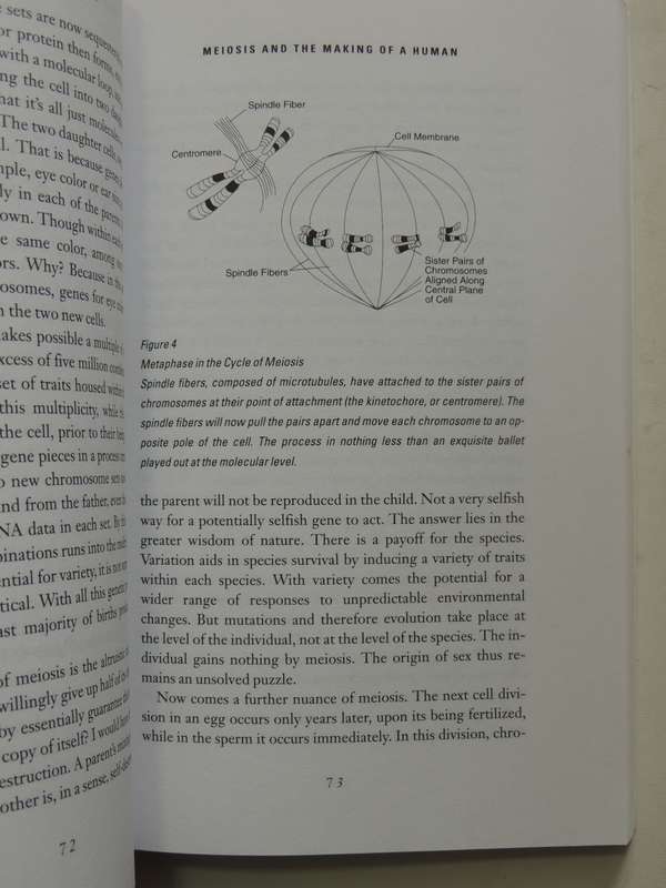 The Hidden Face Of God: Science Reveals The Ultimate Truth - Gerald L. Schroeder