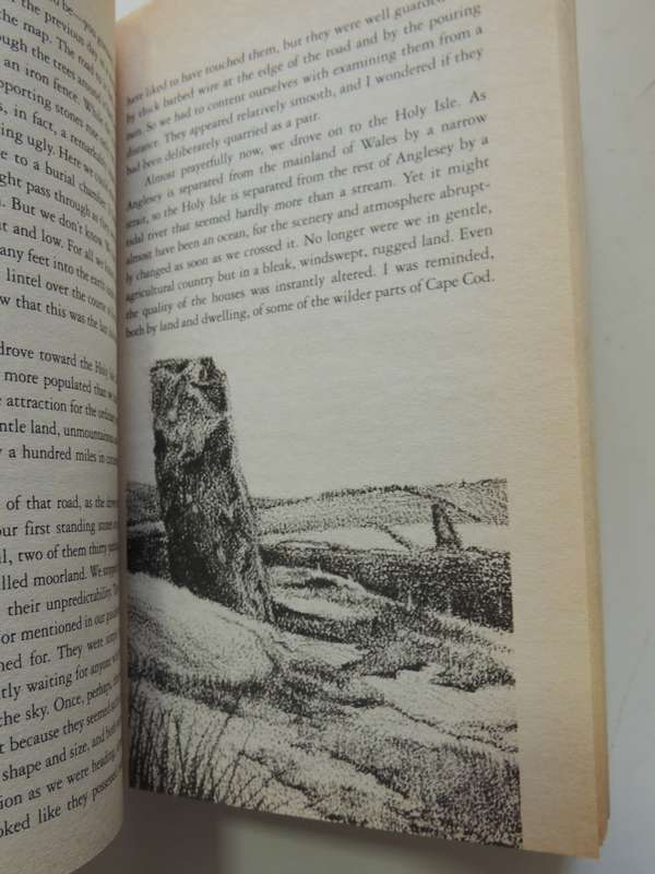 In Search Of Stones - A Pilgrimage Of Faith, Reason And Discovery - M. Scott Peck