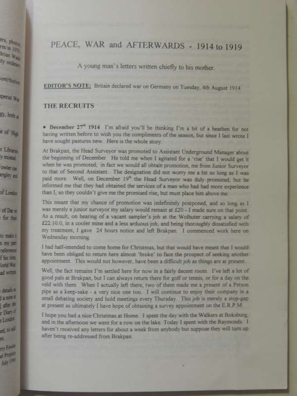 Peace, War And Afterwards 1914-1919: A Young Man's Letters Wrtten Chiefly To His Mother - Brian Wade