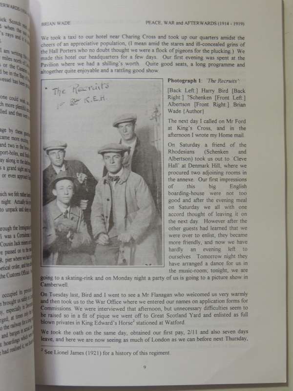 Peace, War And Afterwards 1914-1919: A Young Man's Letters Wrtten Chiefly To His Mother - Brian Wade