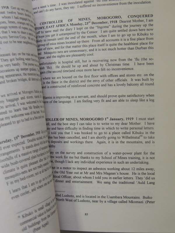 Peace, War And Afterwards 1914-1919: A Young Man's Letters Wrtten Chiefly To His Mother - Brian Wade