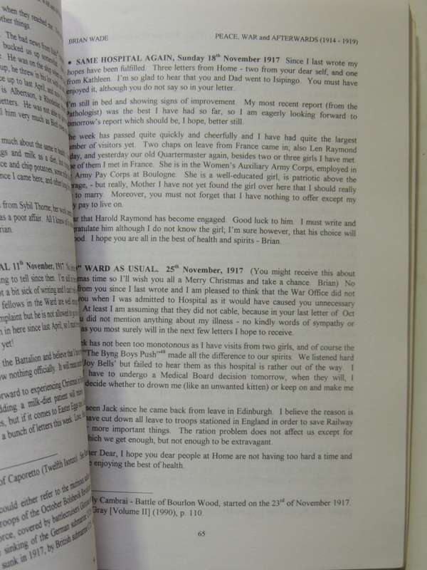 Peace, War And Afterwards 1914-1919: A Young Man's Letters Wrtten Chiefly To His Mother - Brian Wade