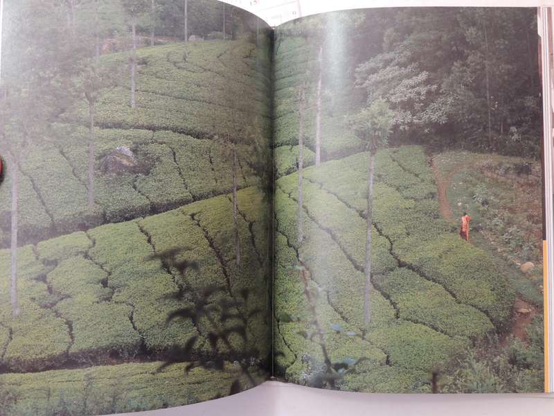 Tea in the East: Tea Habits Along the Tea Route  - Carole Manchester