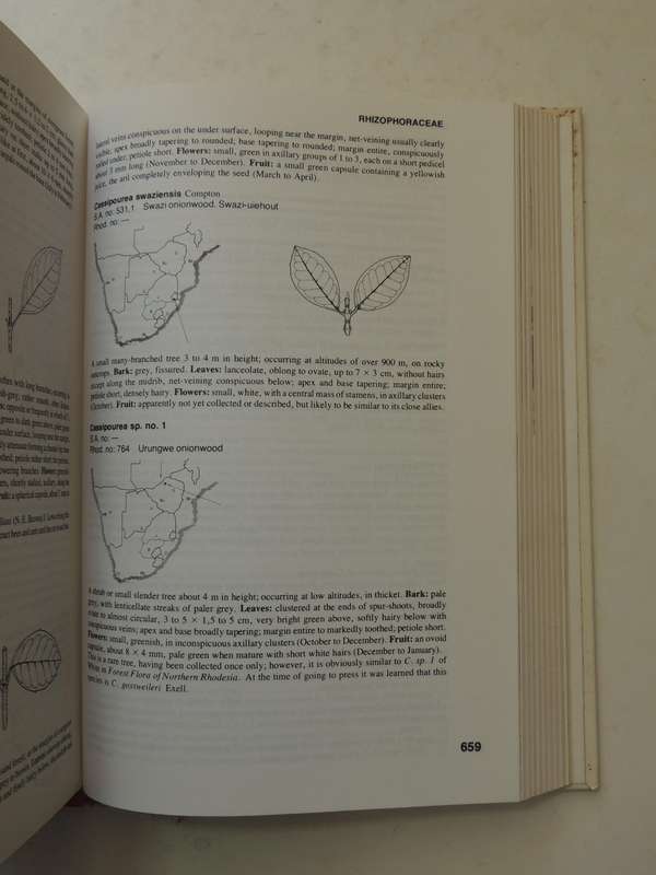 TREES of Southern Africa - 2nd Revised EditionKeith & Meg Coates Palgrave